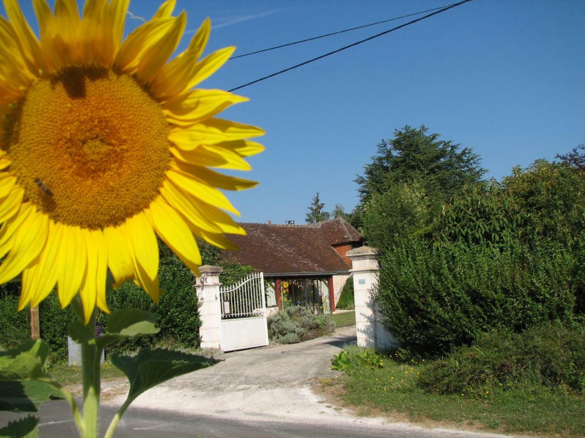 Le Clos Du Petit Marray Panzió Chambourg-sur-Indre Kültér fotó